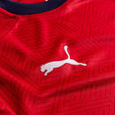 Czech Republic Home Stadium  2021 EURO 2020