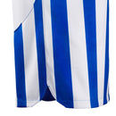 BRIGHTON AND HOVE ALBION HOME JERSEY 2023/24 MEN`S