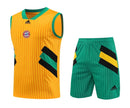 BAYERN MUNICH SLEEVELESS TRAINING KIT 23/24 - YELLOW